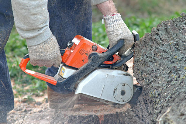  Burns Harbor, IN Tree Removal Services Pros